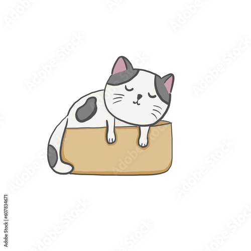 A cat sleeping in a cardboard box