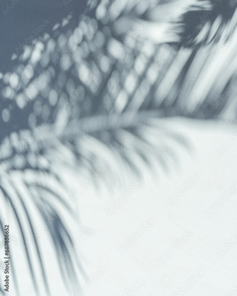 Blurred shadow of tropical palm leaves on gray wall background. Summer concept.