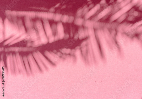 Blurred shadow of tropical palm leaves on pink wall background. Summer concept.