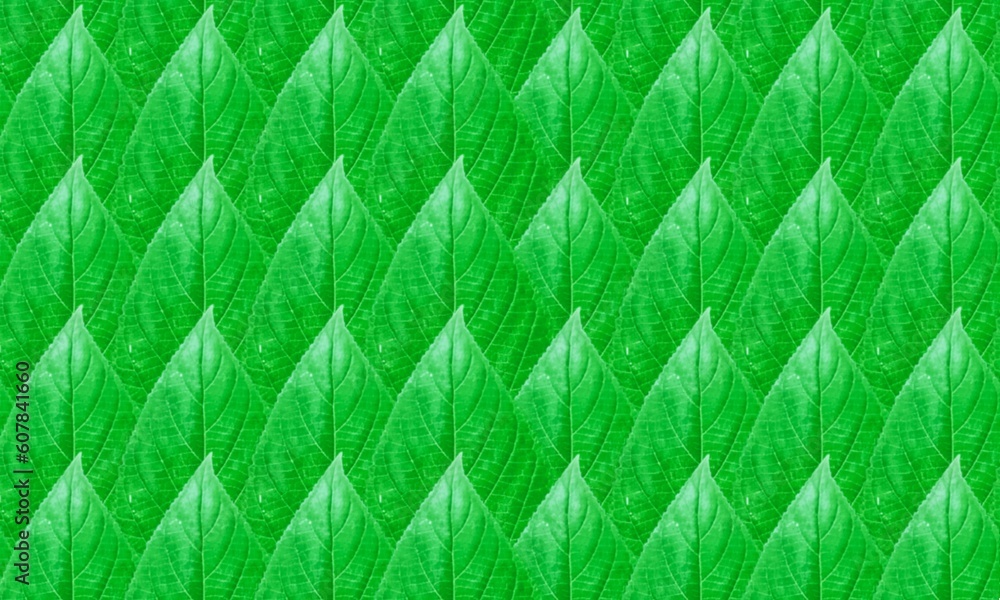 green leaf background green leaf background