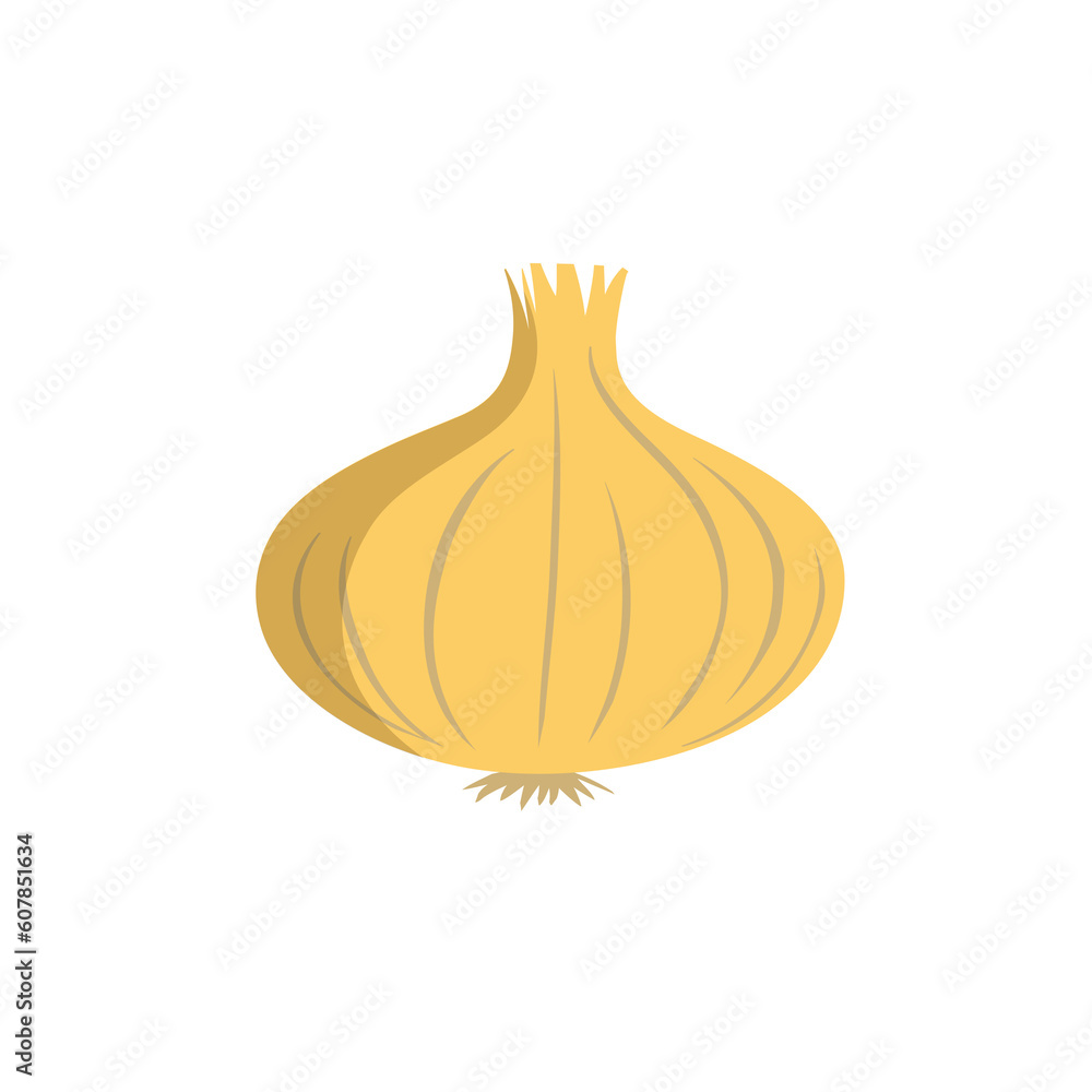 Yellow onion isolated: cooking, food preparations and ingredients