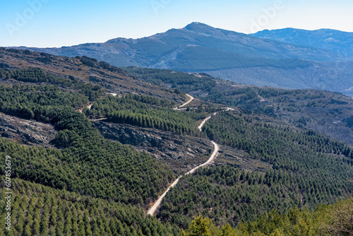 Mountain road that runs between valleys and pine forests, Sierra del Rincon, Madrid.