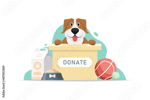 Cartoon donate food and equipment for stray dog, Vector illustration.