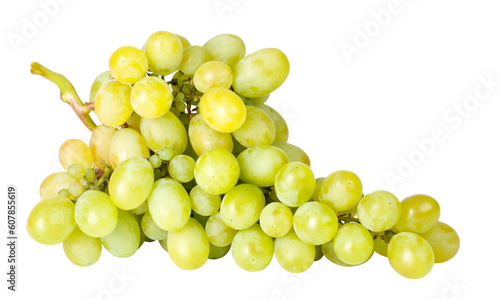 Bild auf Leinwand Branch of green grapes isolated