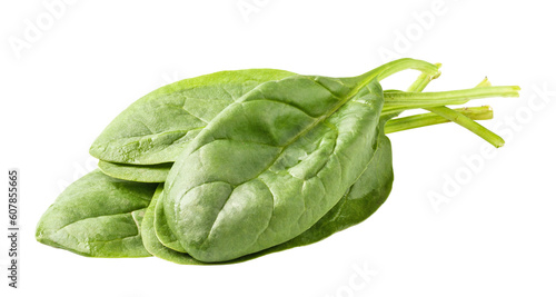 spinach isolated 