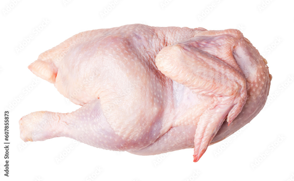 Fresh Chicken Meat Png