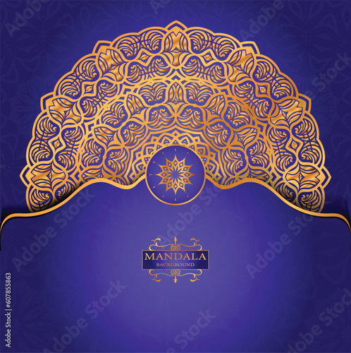 Vector luxury mandala decorative ethnic element

