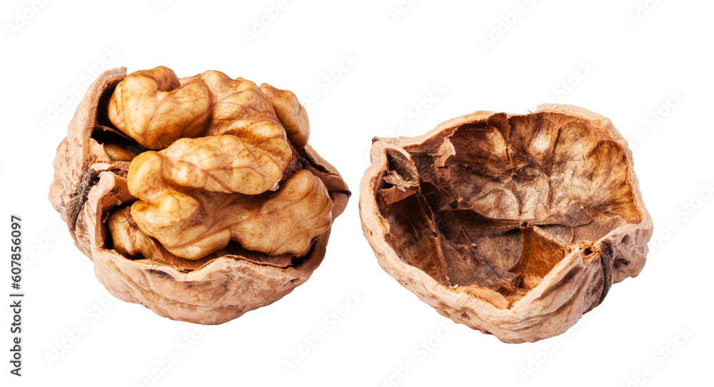 walnuts isolated 