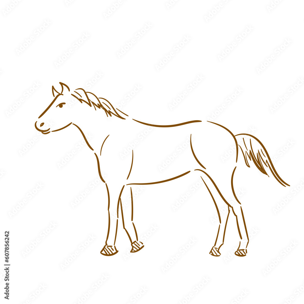 horse pose vector