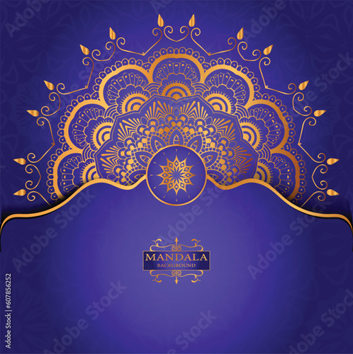 Vector luxury mandala decorative ethnic element
