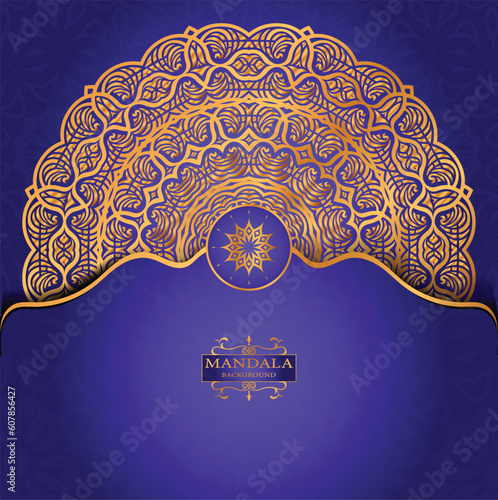 Vector luxury mandala decorative ethnic element
