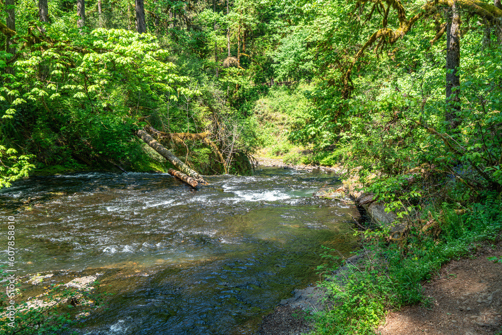Obraz premium Silver Creek From Trail 4