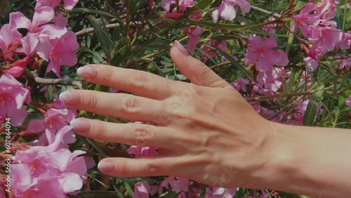 Female hands with beautiful natural pink french elegant manicure.
