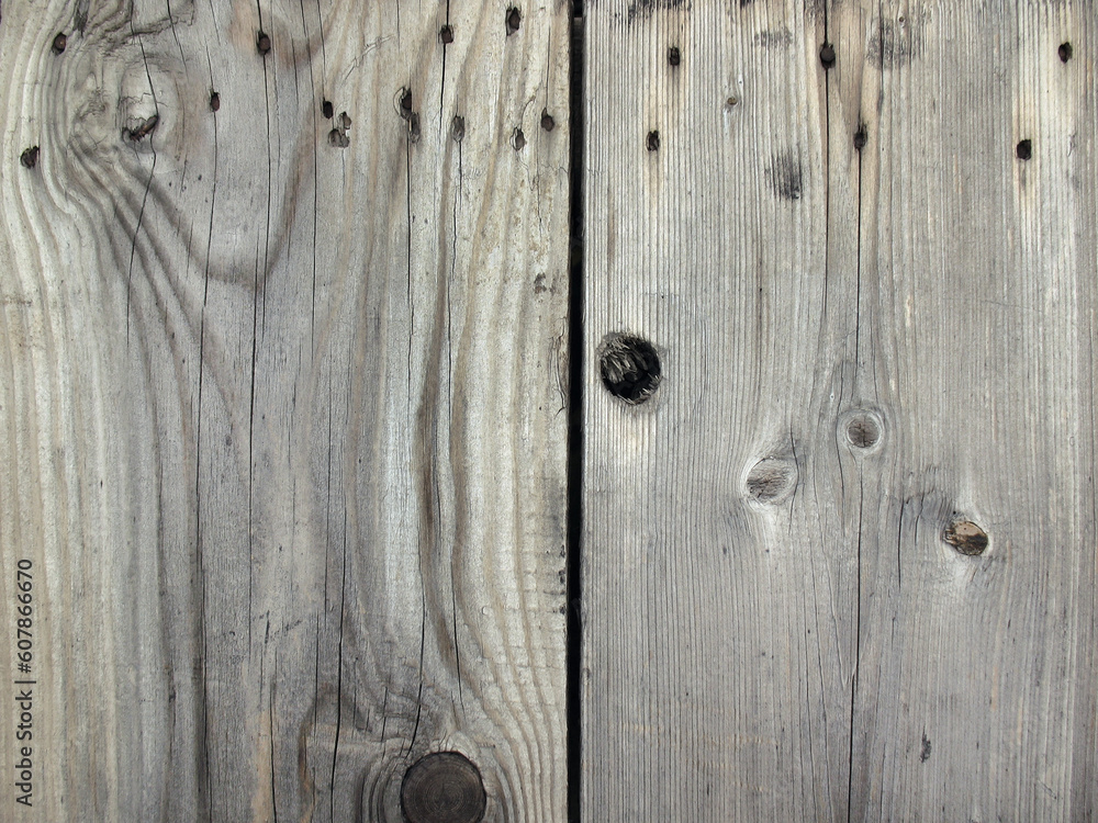 Obraz premium Wooden Planks