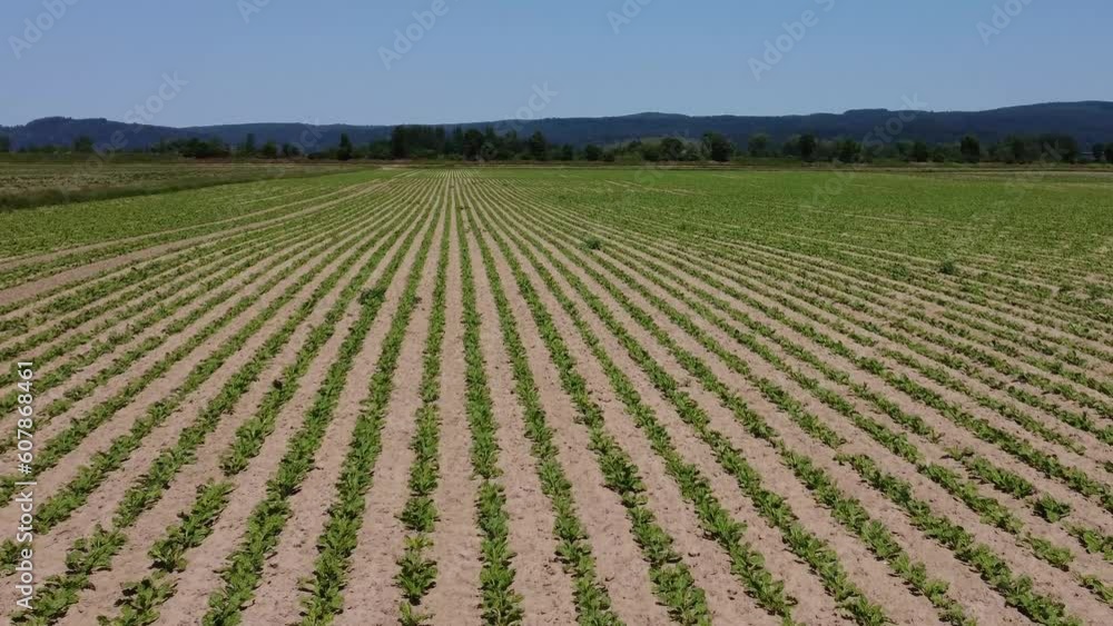 Agricultural fields in the Danube valley in Bavaria in spring with lush meadows and soil rich Agricultural fields in the Danube valley in Bavaria in spring with lush meadows and soil rich