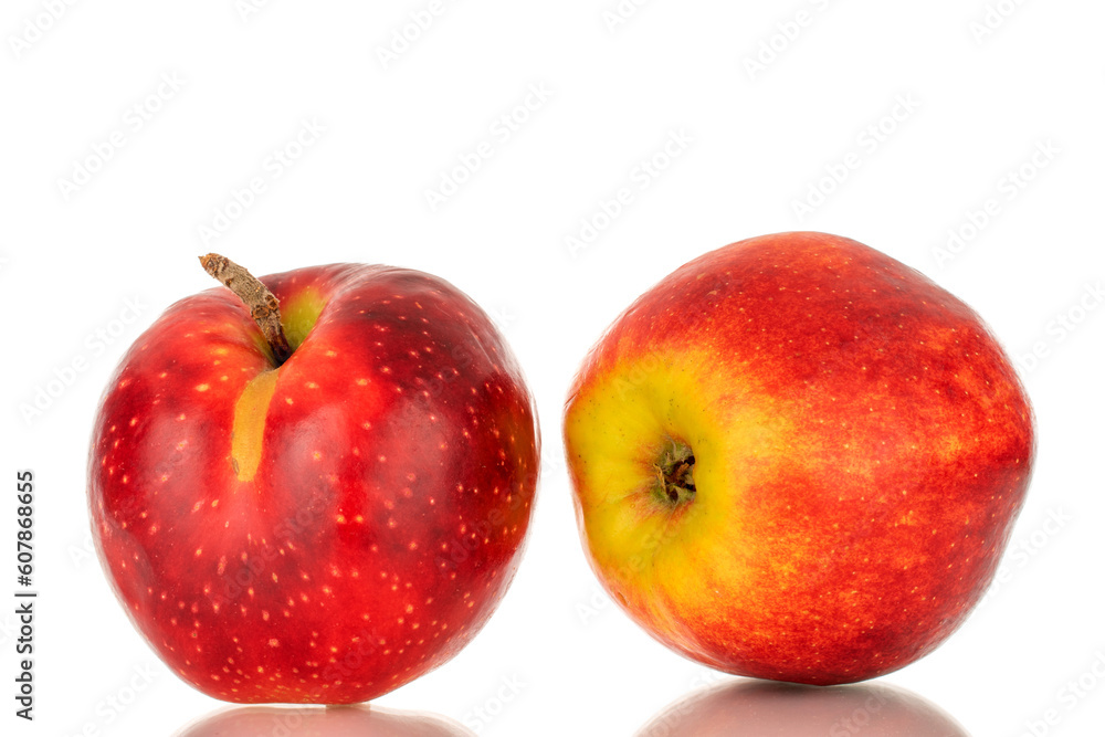 Two red apples, macro, isolated on white background.