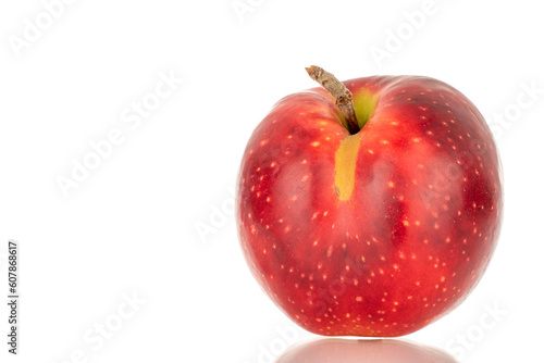 One red apple, macro, isolated on white background.