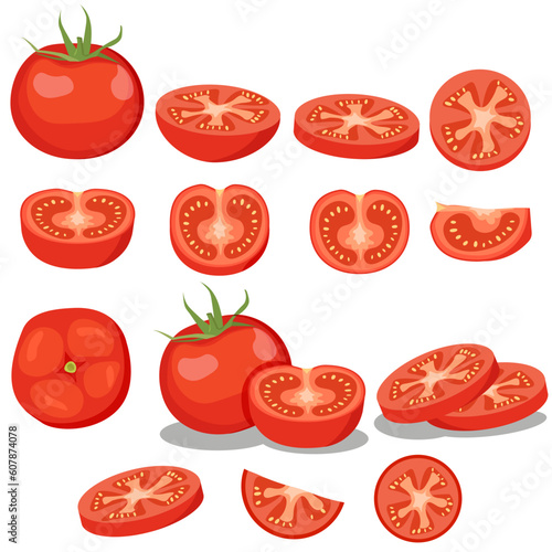 Fresh red tomatoes. Different type of vegetable cutting. EPS10 vector illustration.