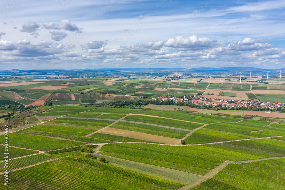 Bird's-eye view of the vineyards near Flonheim/Germany in Rheinhessen