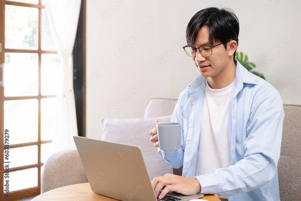 Smiling young man working on laptop in modern living room, checking email in morning, writing message in social network, happy young male using internet banking service, searching information Smiling young man working on laptop in modern living room, checking email in morning, writing message in social network, happy young male using internet banking service, searching information