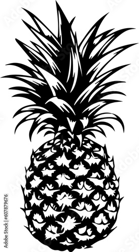 Fototapeta Naklejka Na Ścianę i Meble -  Illustration of pineapple in black and white style.