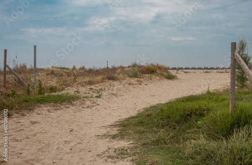 path in the dunes