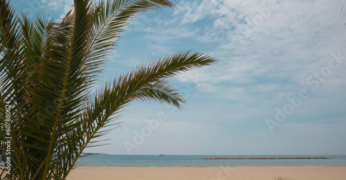 Palm branch against the backdrop of the sea and beach. Copy space.