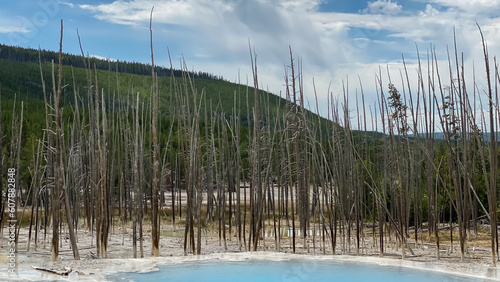 Cistern Spring in Norris Geyser Basin in Yellowstone National Park