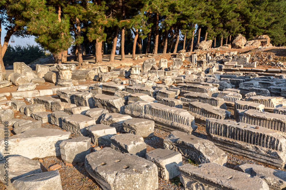 Fototapeta premium Ancient city Ephesus, Turkey