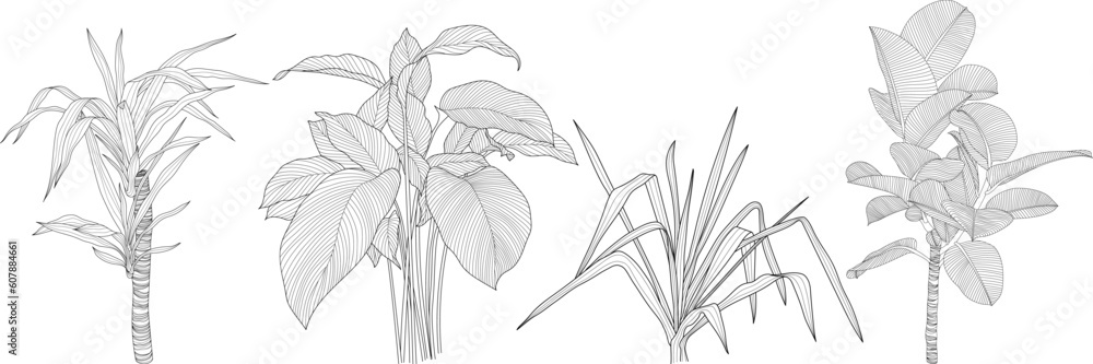 Obraz premium Leaves isolated on white collection. Tropical leaves set. Hand drawn abstract illustration.