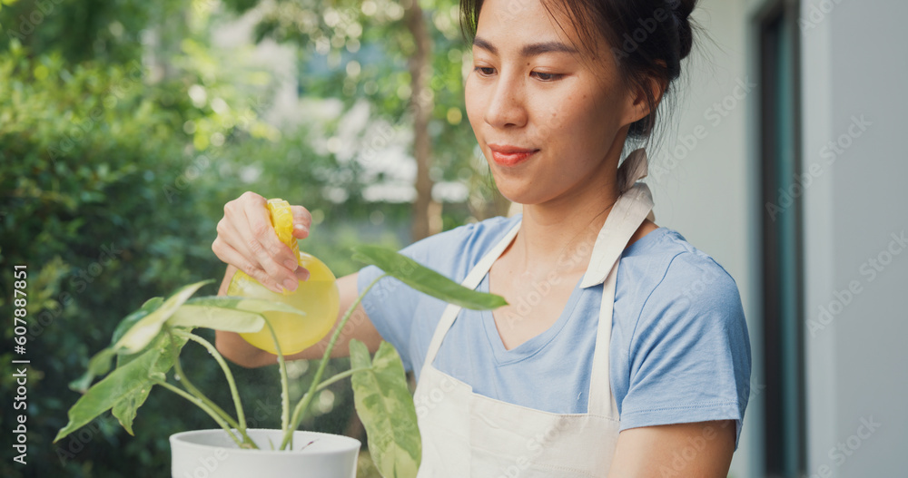 Cheerful happy Asian girl wear apron watering plants in pot at cozy home garden. Asia lady gently water a plants by using water spray, Gardening making homework domestic life concept. Cheerful happy Asian girl wear apron watering plants in pot at cozy home garden. Asia lady gently water a plants by using water spray, Gardening making homework domestic life concept.