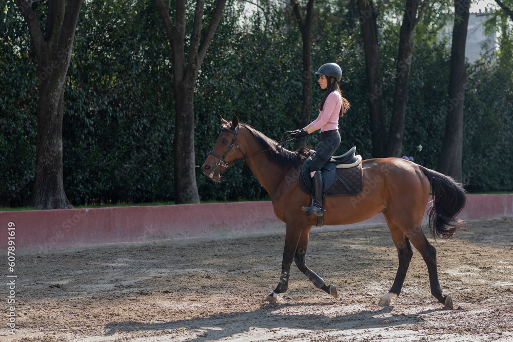 Cute young woman riding a horse in an equestrian center while practicing horse riding Cute young woman riding a horse in an equestrian center while practicing horse riding