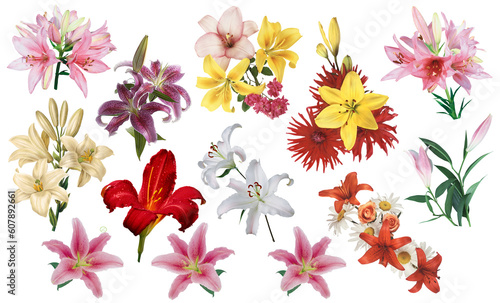 Beautiful flowers on a white background . v  1 