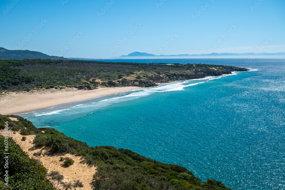 una playa con un cuerpo de agua