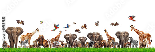 group of animals on transparent background for project decoration. Publications and websites