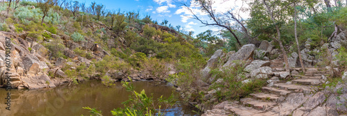 Panoramic Australian landscape bush view. Taken in Queensland, Australia