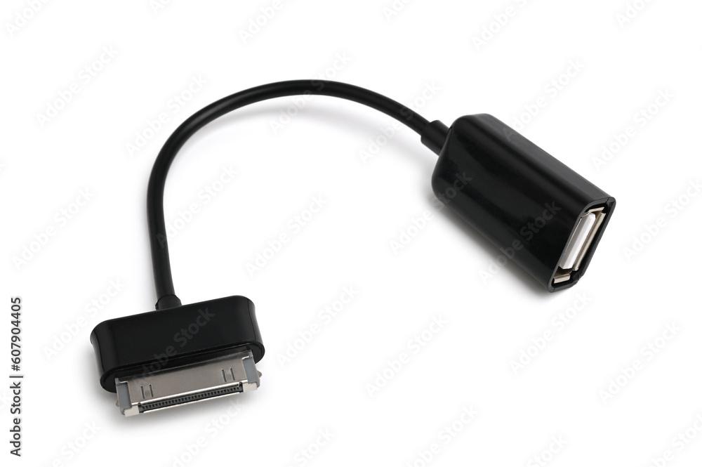 Cable 30 pin to USB otg Cable 30 pin to USB otg