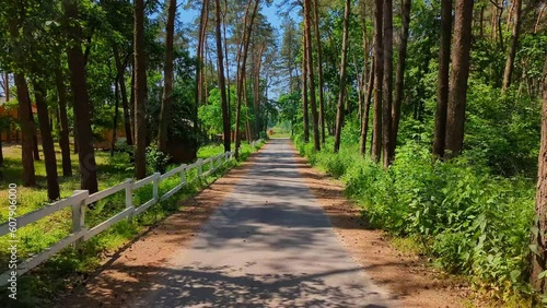 Traveling on green pine forest, wanderlust concept. First-person view, eyes walking. Health care, fresh air. Beautiful green road. Besutiful warm atmospere. photo