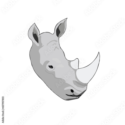The nature and wild animals face front of the white background