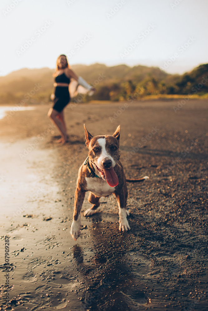 woman walking with her dog on the beach