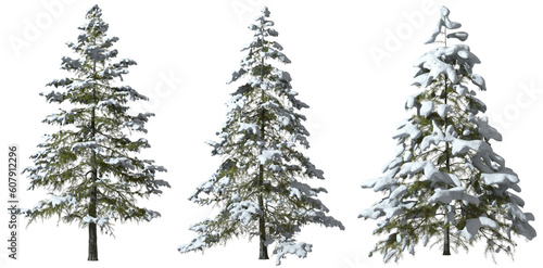 Winter trees pine snow frosted cover cutout 3d rendering png file © Krit