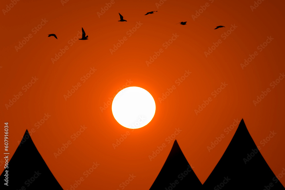 Birds silhouette 