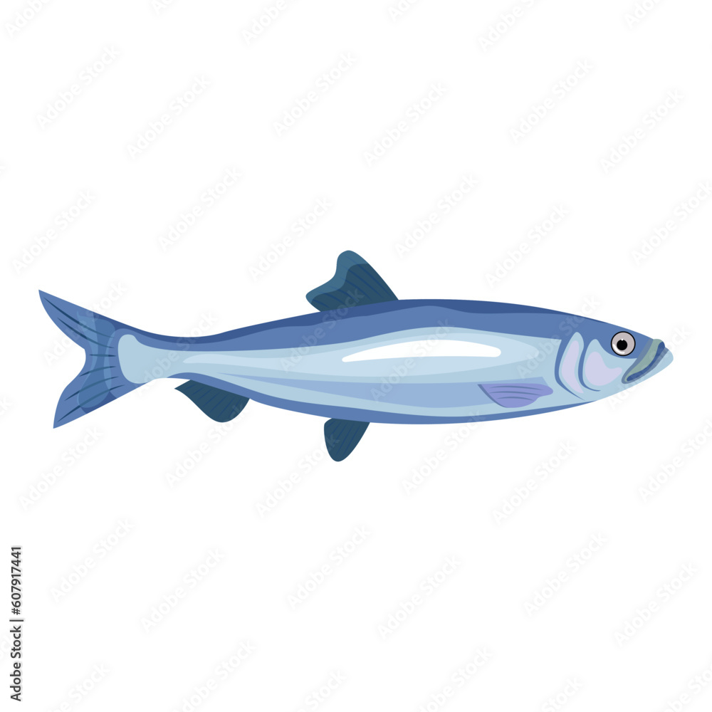 Herring fish seafood vector illustration