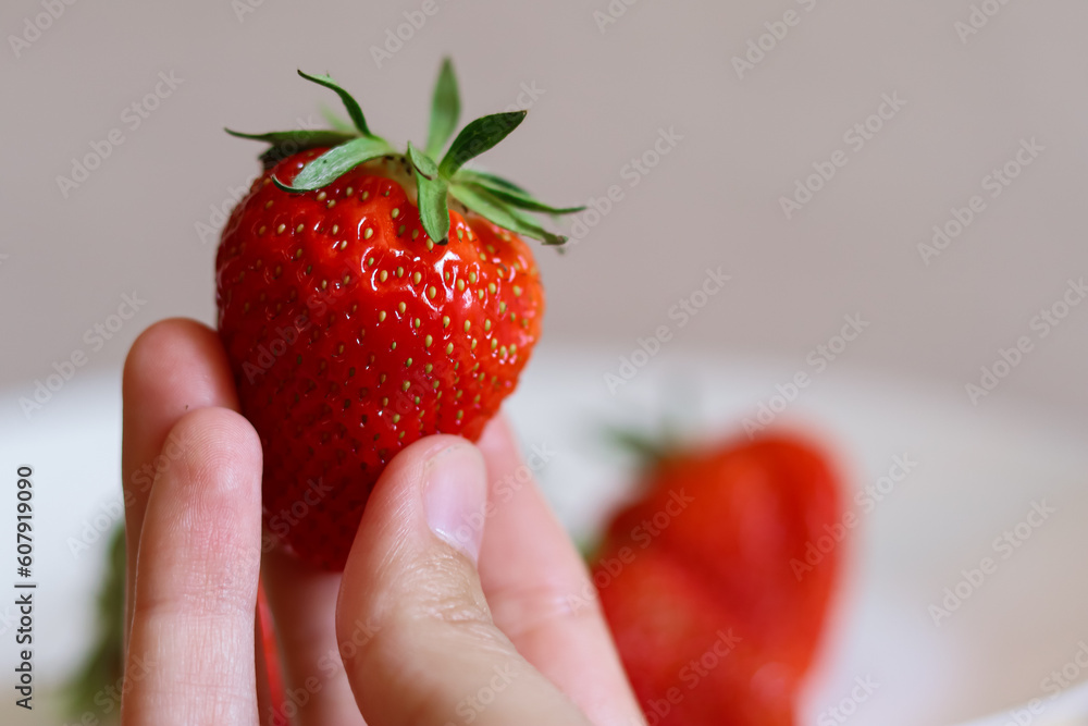 Obraz premium strawberries in hand.fresh big strawberries.diet.red berries.healthy food.vegetarianism.organic berry.strawberry cultivation.strawberries in a plate.healthy breakfast.berry diet.smoothie.dessert.red