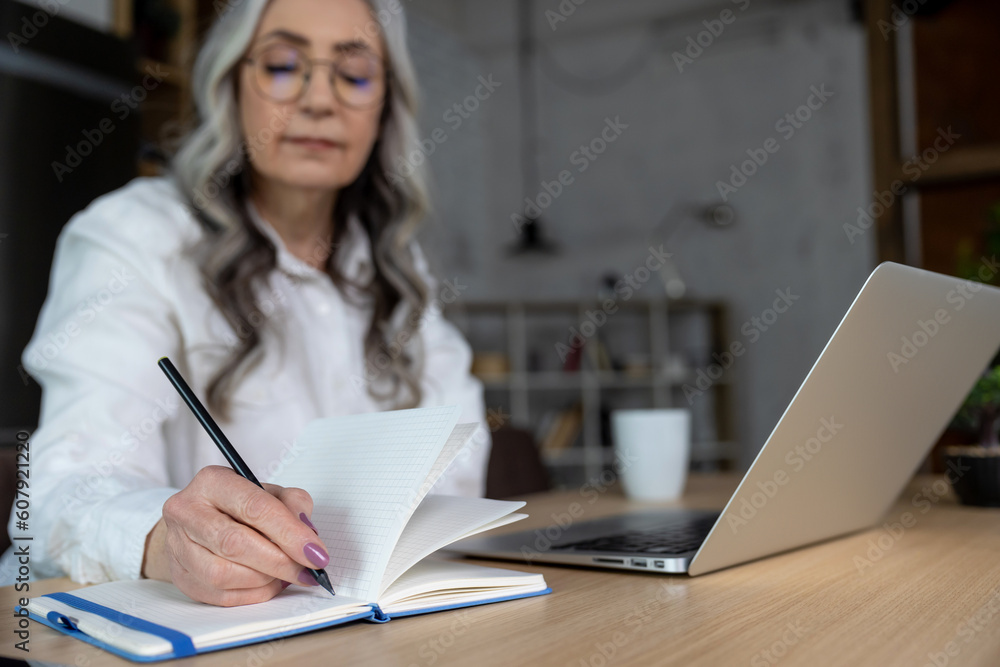 Good-looking business woman working at the home office Good-looking business woman working at the home office
