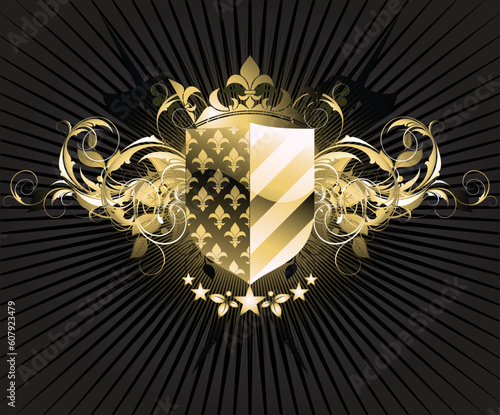 ornamental shield, this illustration may be usefull as designer work.