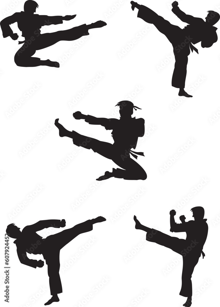 Vector illustration of karate fighters
