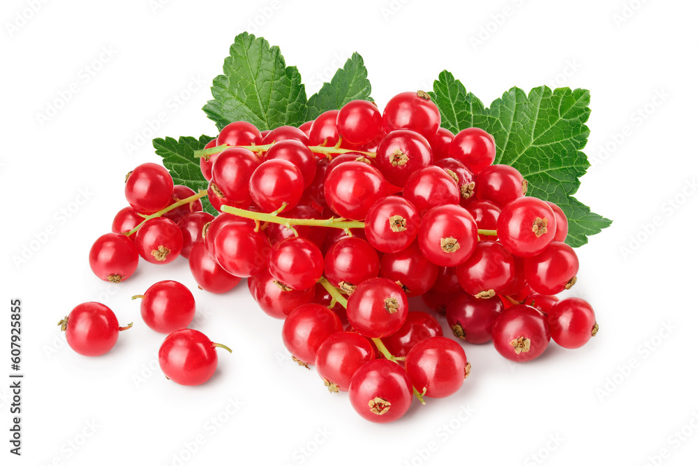 Red currant berry isolated on white background Red currant berry isolated on white background