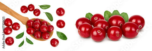 Cranberry in wooden spoon isolated on white background. Top view. Flat lay