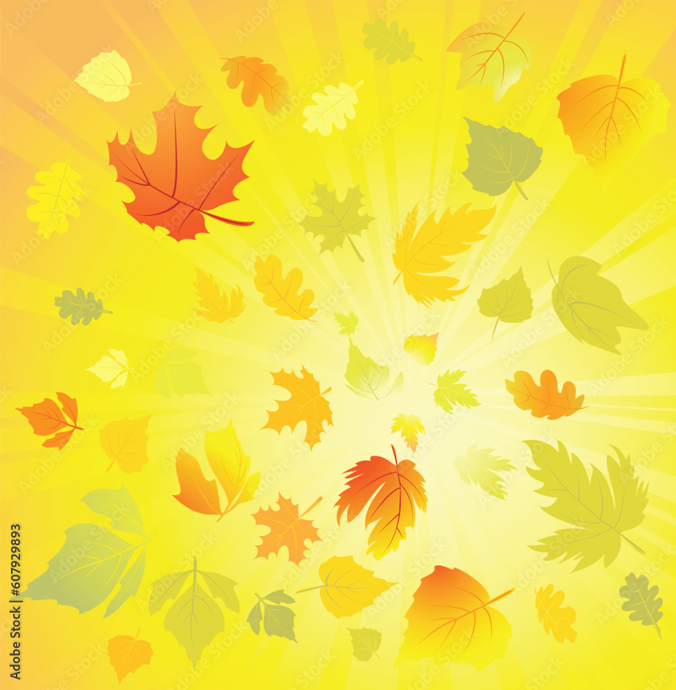 Autumn leaves design elements, vector Autumn leaves design elements, vector